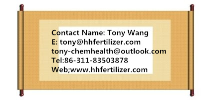 High Quality PP Big Bag for Cement