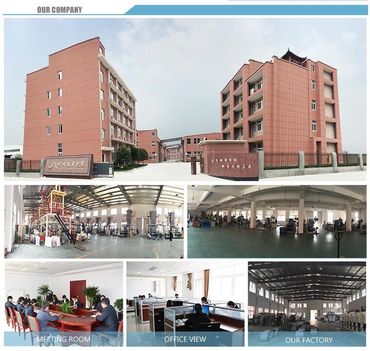 Manufactory Customizable Colored Poly Bag