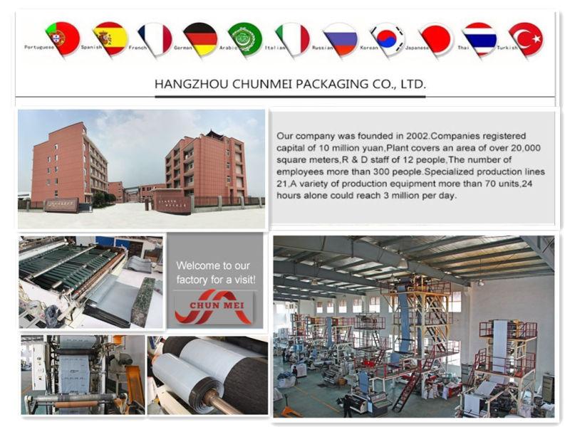 Various Colored Plastic Packing Bag for Express Service