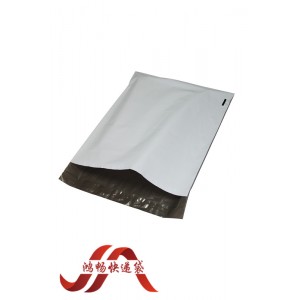 Various Colored Plastic Packing Bag for Express Service