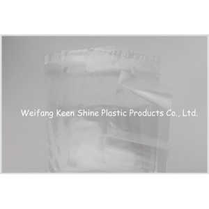 Custom Print Side Seal LDPE Plastic Zip Lock Bag with Die Cut Hole