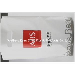 Hot Sale Transparent Food and Medical Grade Zipper Bag Made in China