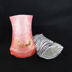Stand up Plastic Vase Bag for Flower