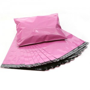 Customized Garment/Document Plastic Packing Bag