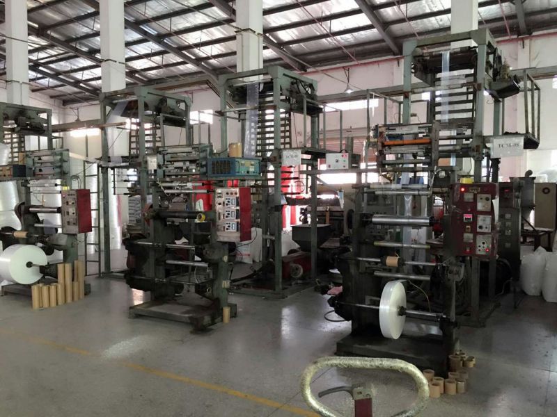 Printing Plastic Bags, Shopping Vest Carrier Bag, Mail Bag, Die-Cut Patched Bag, Soft Loop Carrier Bag and PP Self-Adhesive Bag