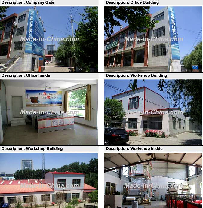 Size Customized Flat Bottom Dried Snack Fruit Plastic Packaging Bag of Food Grade