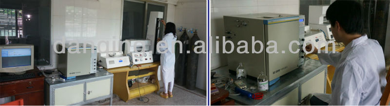 Special Shape Plastic Packaging Stand up Pouch with Spout (DQ0099)