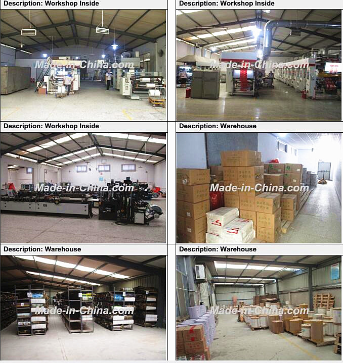 Size Customized Flat Bottom Dried Snack Fruit Plastic Packaging Bag of Food Grade