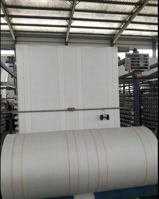 PP Bag for Coal, Bag for Dusty, Bag for Vegetable, Bag for Fruit