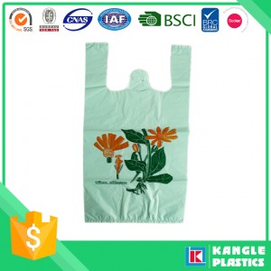 Biodegradable Shopping Bag Wholesale with Printing