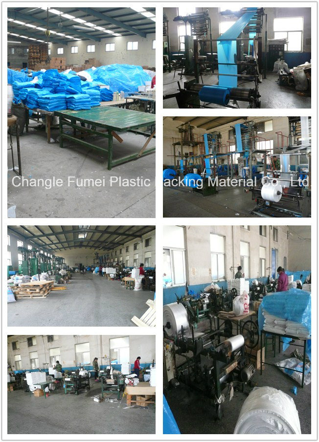 Food Grade LDPE Rice Food Packaging Ziplock Bag