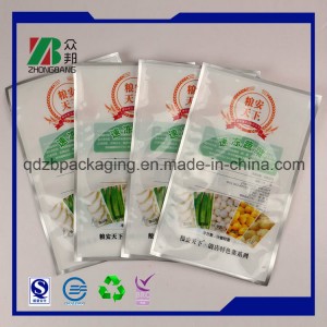Factory Wholesale PA PE Plastic Packing Bag