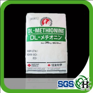 Mixed Wall Putty Powder Bag