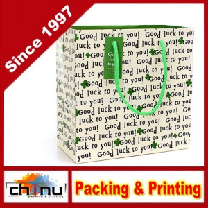 Art Paper / White Paper 4 Color Printed Bag (2262)