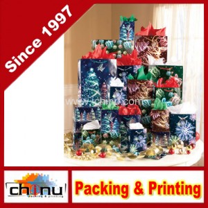 Holiday Gift Bag (210225)