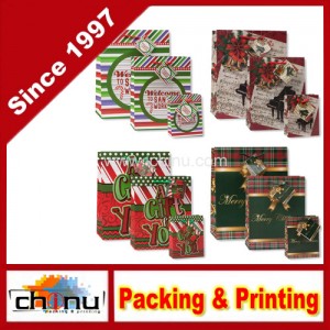 Christmas Bags (210223)