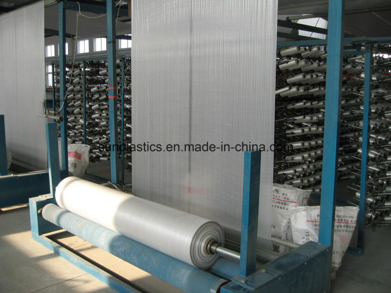 Practical and Durable 50kg PP Woven Bag