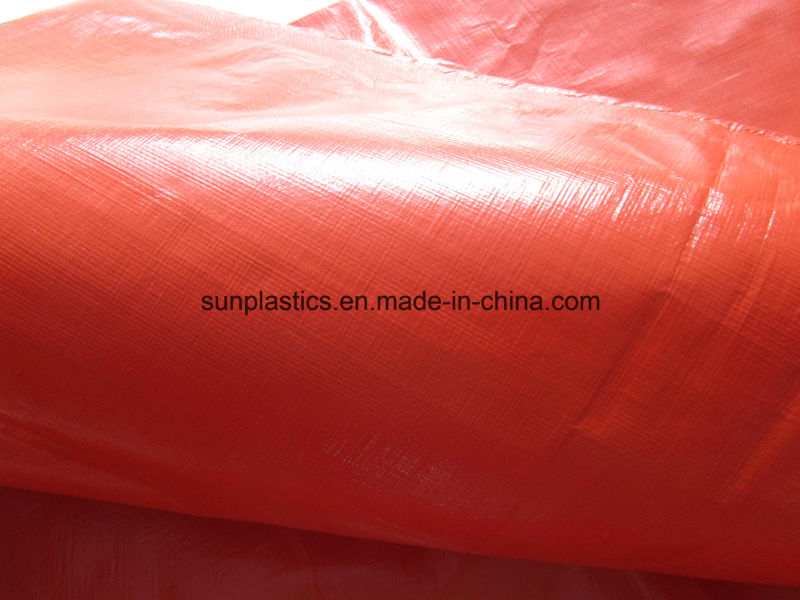 Practical and Durable 50kg PP Woven Bag