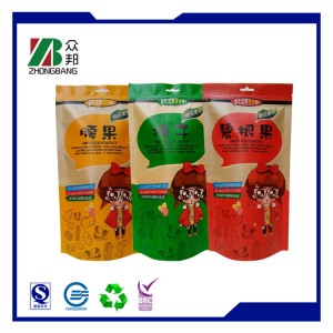 Made in China Color Paper Bag (ZB032)