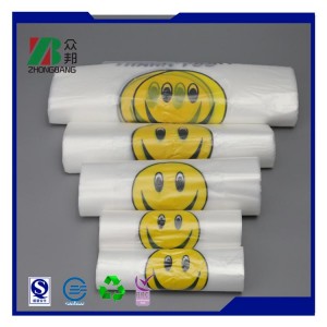 Retail Shopping Plastic Bag for Promotion