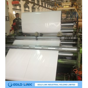 Adhesive Glossy Cast Coated Paper with White Release Liner