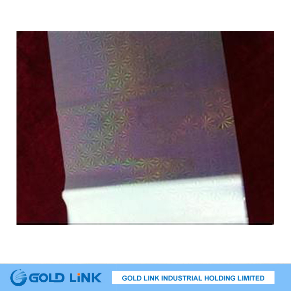 Pet Holographic Film/Stikcer (PT6Y303-S)