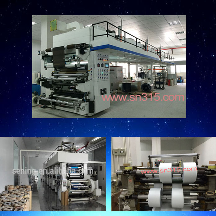 Adhesive Sticker Label/Security Label Sticker