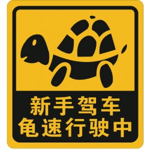 Car Sticker/ Paper Vinyl Sticker (M00198)